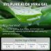 Aloe Up For the Face Daily Moisturizer with SPF 25 Sunscreen - Alcohol-Free Broad Spectrum Facial Lotion With Aloe Vera Gel - Dries Fast - Reef Friendly - For All Skin Types - Fragrance-Free - 1.7 Oz - Buy Online on GoSupps.com