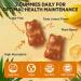 HOLLEGEND Pumpkin Seed Oil Gummies with Saw Palmetto, Pumpkin Seed Oil Extract for Hair Growth & Prostate Health, Cold-Pressed Supplements for Women Men, Vegan, Sugar Free, Lemon, 60 Chewable - Buy Online on GoSupps.com