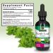 Nature's Answer Nettle Leaf with Organic Alcohol 2-Fluid Ounces | Herbal Supplement | Promotes Immune Heath | Non-GMO Kosher Gluten-Free - Buy Online on GoSupps.com
