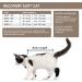 Suitical Recovery Suit for Cats - Black Camouflage XX-Small: Comfortable Post-Surgery Healing - Buy Online on GoSupps.com