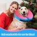 FWLWTWSS Inflatable Dog Collar - Adjustable Velcro Leak Protection for Post-Op Recovery - Pink XL (Neck: 45.7cm-63.5cm) - Buy Online on GoSupps.com