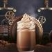 Van Houten Chocolate Drink Preparation 1 Litre (1 Pack) - Buy Online on GoSupps.com
