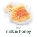 Palmolive Naturals Shower Gel Milk and Honey Shower Cream with plant based Moisturising Milk Dermatologically Tested Body Wash for All Skin Types 750ml Pump Bottle 4 Pack 750 ml (Pack of 4) Milk & Honey - Buy Online on GoSupps.com