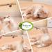 AGYM Cat Silvervine Stick Toy Set - Natural Chew Toys for Cats | Promotes Dental Health, Relaxation, and Digestion | Non-Addictive and Safe | 4 Pack - Buy Online on GoSupps.com