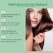  homomdy Natural rosemary shampoo for dry and thinning hair strengthening and volumizing shampoo gentle cleanser for damaged hair moisturizing and nourishing leaves hair refreshed (2 pcs) - Buy Online on GoSupps.com