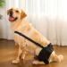 WOBBLO Recovery for Dogs | Knee Brace for Rear Leg Pet Leg Wounds Protector Hip Joint Support Protects Wounds for Small Dogs - Buy Online on GoSupps.com