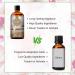 PHATOIL Fresh Linen Fragrance Oil - 100ml for Aromatherapy, Diffusers, Candle Making & DIY Products - Buy Online on GoSupps.com