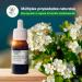 Soria Natural Espino Blanco Extracto 50ml - Cuida Tu Sistema Cardiovascular y Apoya la Circulaci n Sangu nea - Extracto Natural - Buy Online on GoSupps.com