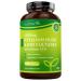 Psyllium Blond 4500mg Vegan avec 500 Million de CFU - 180 Psyllium Gelules pour 3 Mois - Complement Alimentaire Transit Intestinal (EFSA) - Nutravita