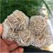 Natural Crystal Rough Natural Desert Rose Selenite Ra Crystal Stone Specimen Rough Sample Cluster FengShui Decor PEIQIYIN (Size : 300-400g) - Buy Online on GoSupps.com