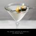 Premium Filthy Blue Cheese Stuffed Olives - Non-GMO & Gluten Free - 8.5oz Jar - Buy Online on GoSupps.com
