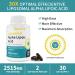 Buy Liposomal Alpha Lipoic Acid 1400mg Softgels - ALA with L-Carnitine CoQ10 & Vitamin E for Antioxidant Support - 60 Count | International Shipping Available - Buy Online on GoSupps.com