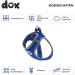 DDOXX Reflective Air Mesh Breast Harness for Dogs | Step-In & Comfortable | Many Colors | XS (28-33 cm) | Perfect for Small & Medium Breeds - Buy Online on GoSupps.com
