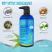 Pura D Scalp Therapy Shampoo 16 fl oz - Nourish & Revitalize Your Hair - Buy Online on GoSupps.com