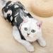 Shop Dotoner Katzenbody - Anti-Trolley Cat Recovery Suit | Ideal for Post-Op Skin Disease & Castration | Lightweight Camouflage Design (L) - Buy Online on GoSupps.com