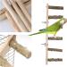 Wooden Bird Toys for Parrots - Climbing Ladders & Knitting Conductor | International Shipping - Buy Online on GoSupps.com