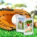 10-Piece 35 PT Acrylic Screw Baseball Card Holder Set - Clear Trading Card Protector for Sports Cards - Buy Online on GoSupps.com