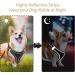 Buy Heele Air Mesh Adjustable Dog Harness & Soft Dishes Reflective XS Vest for Walking Running Training Safe Control for Small Dogs - Buy Online on GoSupps.com