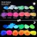 Glow in The Dark Pigment Powder Set - 12 Colors, 20g Each Bottle for Epoxy Resin, Slime, Nails, Acrylic Paint & DIY Crafts - Buy Online on GoSupps.com