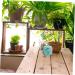 CYYHGD 2pcs Loose Powder Storage Box Dusting Powder Gift Tin Decorative Flower Tea Jar Tea Stash Candy Tin Puff Candy Decor Loose Powder Storage Jar Blue and White Porcelain Tinplate Food - Buy Online on GoSupps.com