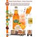 Stewarts Fountain Classic Soda 355ml Glass Bottles Orange'n Cream Soda 24 Count - Buy Online on GoSupps.com