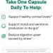 Daily Nouri Stress Support Probiotic for Women & Men | Supports Cortisol Management Stress Relief Mood Digestion & Gut Health | 3 Clinically Studied Strains + Vegan Omega Oil | 30-Day Supply 30 Count (Pack of 1) - Buy Online on GoSupps.com