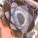 Natural Agate Geode Crystals Feng Shui Druzy Gemstones Quartz Water Lotus Ornament for Home Decoration ZJGIDTEM 1pc - Buy Online on GoSupps.com