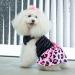Shop Cuteebone Little Miss Sassy Pants Dog Leopard Dress - Stylish Dresses for Small Dogs & Puppies | Rosa Dog Clothing CVA15XXS-DE - Buy Online on GoSupps.com