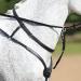 Buy Passier Ingrid Klimke Breastplate - Black with Stainless Steel Fittings | One Size Full - International Shipping Available - Buy Online on GoSupps.com