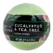 Nature's Beauty Eucalyptus & Tea Tree Bath Bomb, 4.6 oz - Fizzy Spa Bath Bomb Made with Coconut Oil & Witch Hazel to Help Soothe Skin & an Aroma to Help Restore Energy – 4-Pack Eucalyptus & Tea Tree (Pack of 4)