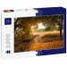 Lais Puzzle Sunset in the Cashew Nut Forest Cambodia Banlung Province 1000 pieces