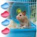 HIXNUG 4 Pieces Hamster Semicircle Feeder Two Color Hanging Food Water Container Portable Feeding Cage Cups Plastic Food Bowl with Hook for Hamsters Rabbit Birds Pet - Buy Online on GoSupps.com