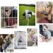 Bonaweite Hairless Cats Turtleneck Sweater - Breathable Adorable Cat Wear Shirt for Sphynx, Cornish Rex, Devon Rex, Peterbald - Blue - Buy Online on GoSupps.com