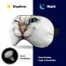 LynaRei Sleeping Mask Funny Cat Face Sleep Eye Mask Blindfold with Adjustable Strap Smiling Cat with Blue Eyes Soft Eye Cover for Blocking Out Lights Style-1 - Buy Online on GoSupps.com