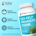Dr. Berg Sea Kelp Enhanced Iodine - 200 mcg of Premium Iodine - Seaweed Blend Includes Klamath Blue-Green Algae & Sea Kelp - 90 Capsules Without Red Algae - Buy Online on GoSupps.com