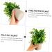 TOPBATHY Home Decor 5 Pcs Simulated Potted Plant Small Pulp Potted Plants Eucalyptus Small Greenery Decor As Shownx5pcs 22x8cmx5pcs - Buy Online on GoSupps.com