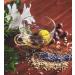 Lot de 8 capsules pour th i re - M lange de th la menthe marocaine n 681 - Buy Online on GoSupps.com