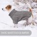 Winter Love Dog Sweater for Medium-Sized Big Dogs | Cozy Christmas Fleece Apparel for French Bulldogs | Warm Gray Dog Clothing (L: Back 40cm Chest 54cm) - Buy Online on GoSupps.com