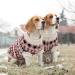 Boho Dog Sweater - Hjumarayan Christmas Sweater for Small Dogs | Thick & Stylish for French Bulldogs & Chihuahuas (Red Size S) - Buy Online on GoSupps.com