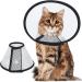 Vivifying Halskrause Dog Collar - Light Plastic Elizabethan Collar for Cats Small Dogs & Rabbits (Black L) | 22.8-26.9cm - International Shipping Available - Buy Online on GoSupps.com