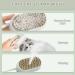 3-in-1 Cat Steamy Brush for Grooming and Hair Removal - Pet Hair Comb for Tangled and Loose Hair - Buy Online on GoSupps.com