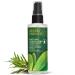 Desert Essence Soothing Relief Spray 4 fl oz (Pack of 6) - Australian Tea Tree Oil for Sunburn, Insect Bites & Aching Feet - Buy Online on GoSupps.com