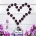 Sambucol Black Elderberry Gummies - 30 Count | Immune Support & Antioxidants - Buy Online on GoSupps.com