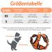 Rabbitgoo Breakproof Cat Dishes & Adjustable Soft Harness - Reflective Orange Kitten/Puppy Leash & Dishes for Cats Small Dogs & Rabbits - 1 Pack - Buy Online on GoSupps.com