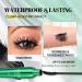  MEITREND 5D Waterproof and Sweatproof Mascara Long-Lasting for Extremely Long Lashes Mascara for Added Volume and Definition Green - Buy Online on GoSupps.com