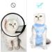 Lianzimau Katzenbody: Medical Cat Suit for Post-Operation Recovery | Anti-Losing Light Blue Clothing for Cats - Buy Online on GoSupps.com