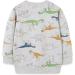 Boys Dinosaur Sweatshirt | Kids Cotton Jumper | Toddler Long Sleeve Pullover | Baby Clothes 5-6 Years - Buy Online on GoSupps.com