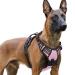 Rabbitgoo dog harness Large dogs dog harness without train adjustable dishes dog without chokes anti -pull dog harness with handle soft padded reflective chest harness pink XL (1 Pack) pink