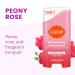 Lume Whole Body Deodorant - Invisible Cream Stick - 72 Hour Odor Control - Aluminum Free Baking Soda Free Skin Safe - 2.2 Ounce (Peony Rose) - Buy Online on GoSupps.com