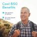 Sisu Cool B50 60 Vegetable Caps - Complete B Complex with Biotin Choline and Inositol - Metabolism and Energy Support - Vegan Non-GMO Soy Gluten & Dairy Free - 60 Servings - Buy Online on GoSupps.com
